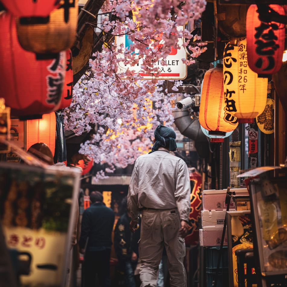 A vertical shot of flowers hanging over the path in Japan