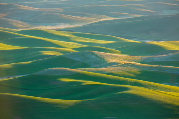 Springtime on the rolling hills of the Palouse in Washington State's Whitman County